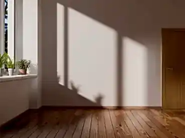 Bakı Boş Daire Temizliği